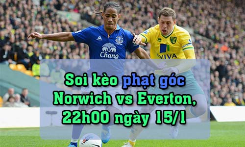 Soi kèo phạt góc Norwich vs Everton, 22h00 ngày 15/1/2022